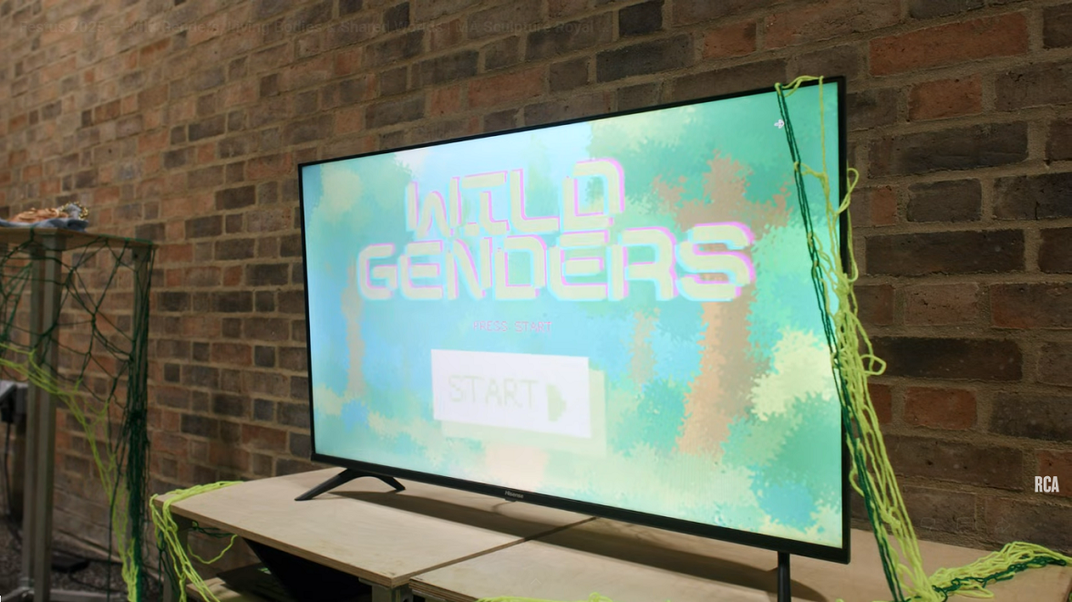./3_festus_-_wild_genders_1780281794539